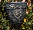 Handing Planter 